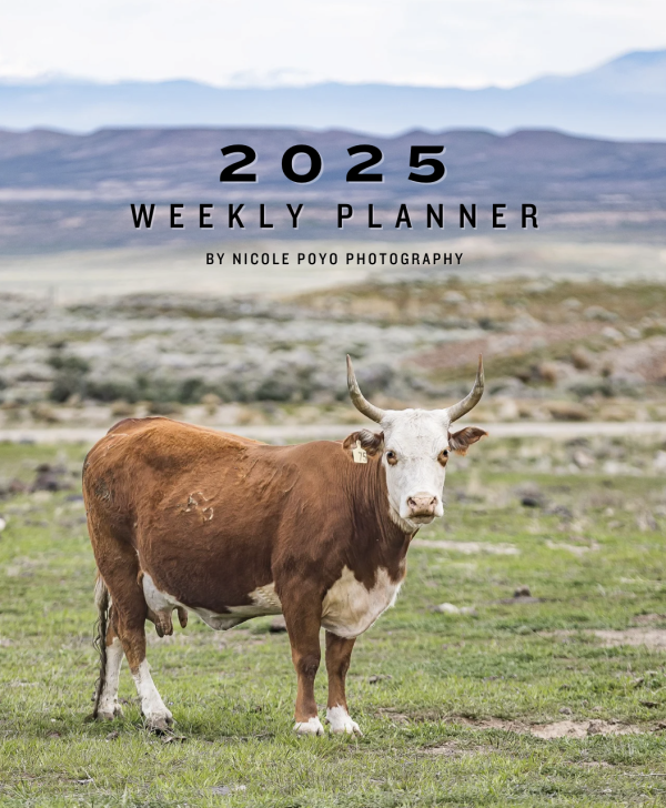 2025 Weekly Planner